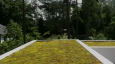 groen-dak